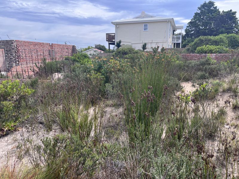 A vacant residential plot featuring overgrown natural vegetation, partial brick boundary walls, and metal fencing, situated in a residential neighborhood.