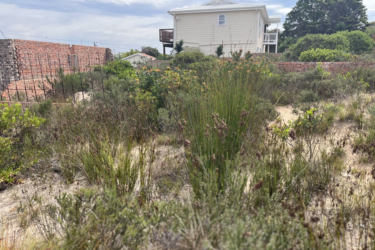 A view of a vacant residential plot featuring sandy terrain, overgrown natural vegetation, and an unfinished brick boundary wall.