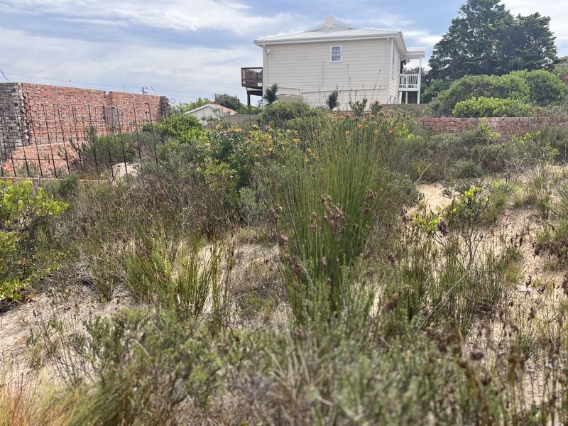 A view of a vacant residential plot featuring sandy terrain, overgrown natural vegetation, and an unfinished brick boundary wall.