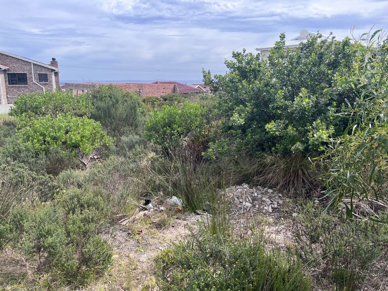 A view of a vacant residential plot featuring established indigenous vegetation and natural landscaping in a coastal residential setting.