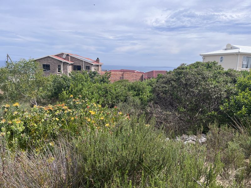 A view of the surrounding residential neighborhood and coastal landscape from the vacant residential plot.