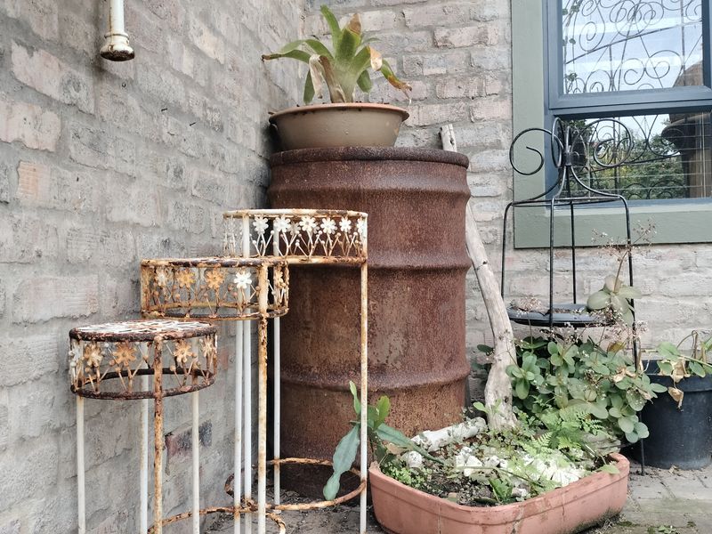 A close-up view of an exterior brick wall and window frame in a garden setting, showing weathered textures and rustic outdoor elements.