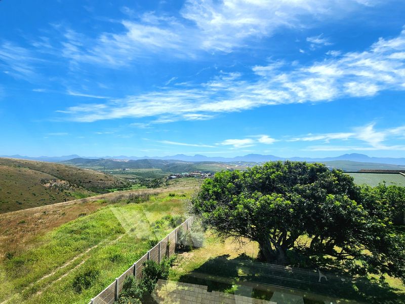 Expansive elevated view overlooking rolling hills and natural landscape, featuring a mature tree and paved outdoor area in the foreground.