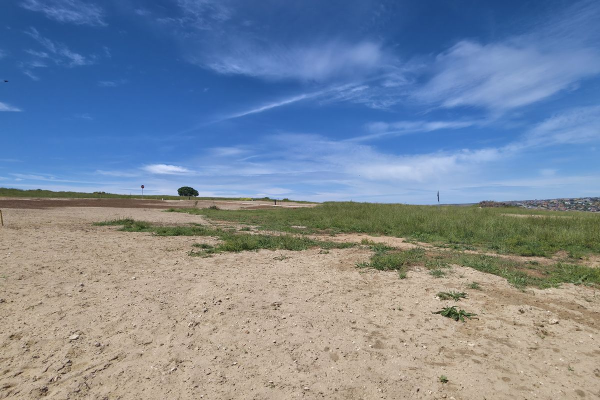 A wide-angle view of a vacant residential plot featuring natural grassland and sandy terrain under a clear blue sky.