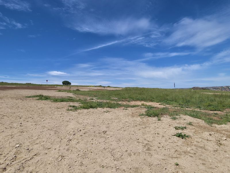 A wide-angle view of a vacant residential plot featuring natural grassland and sandy terrain under a clear blue sky.
