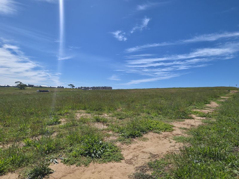 A vacant residential plot of land featuring natural grass coverage, adjacent to a paved sidewalk and street infrastructure.