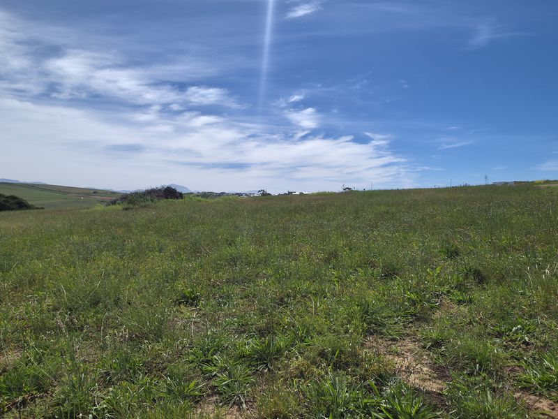 A wide-angle view of an undeveloped residential plot featuring natural grass and open landscape under a clear blue sky.