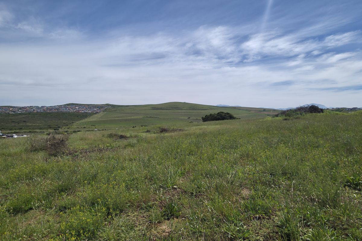 A wide-angle view of an undeveloped residential plot featuring natural vegetation and distant hillside scenery.