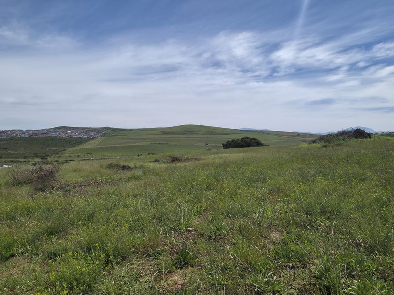 A wide-angle view of an undeveloped residential plot featuring natural vegetation and distant hillside scenery.
