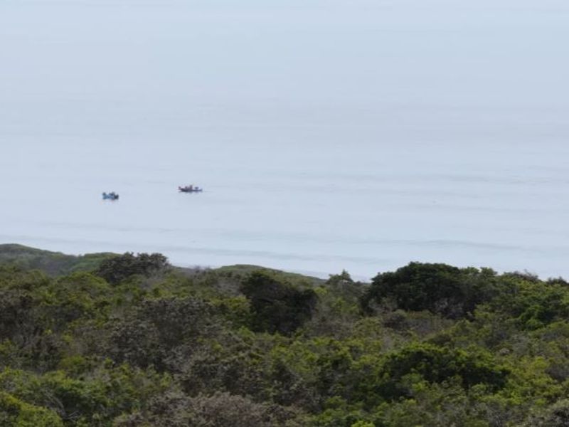 A scenic coastal view overlooking dense natural vegetation and the ocean horizon.