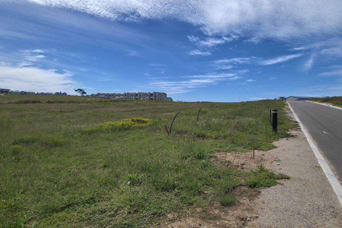 A view of the paved street frontage adjacent to the vacant residential land, showing the surrounding neighborhood landscape.