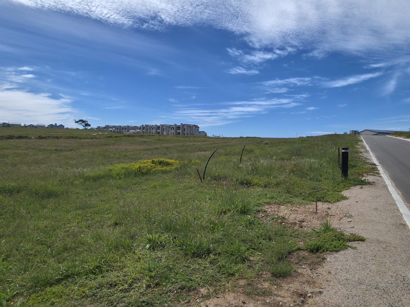 A view of the paved street frontage adjacent to the vacant residential land, showing the surrounding neighborhood landscape.