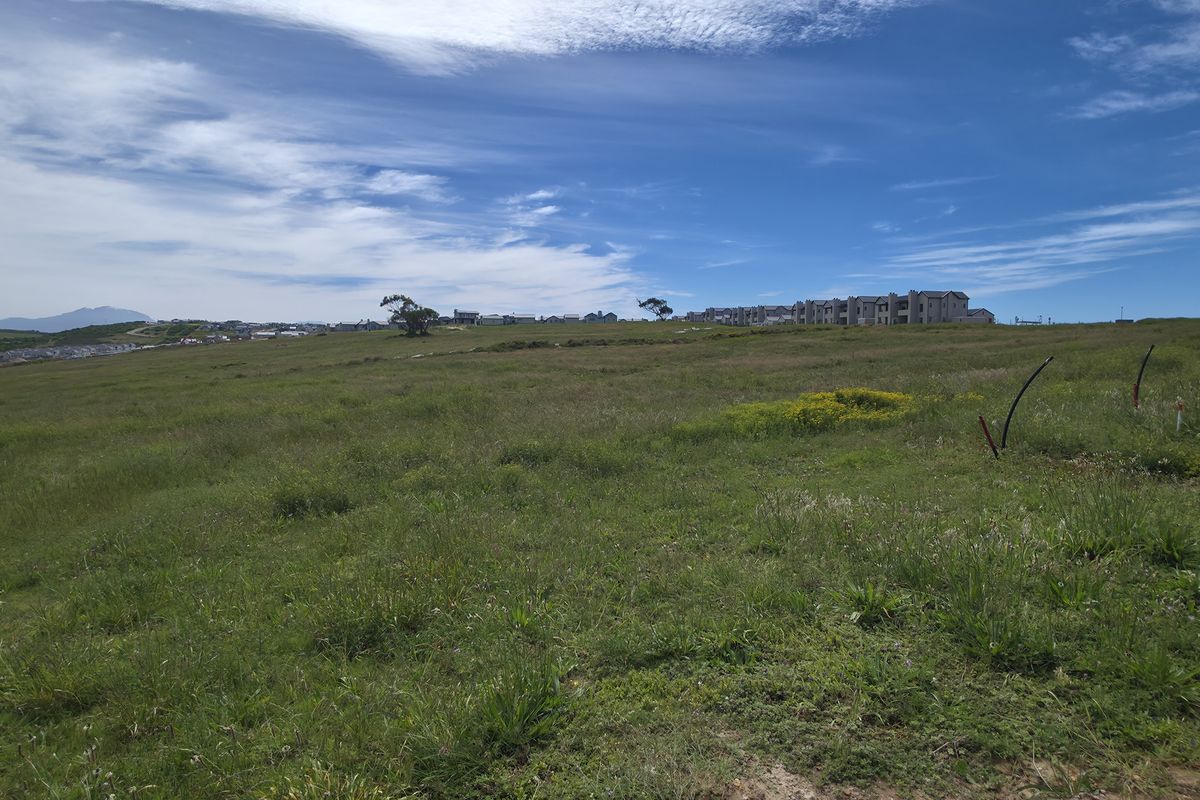 A wide-angle view of an expansive, undeveloped residential plot featuring natural grassland with distant neighborhood buildings visible on the horizon.