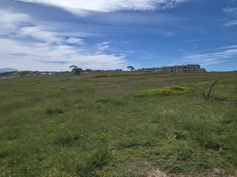 A wide-angle view of an expansive, undeveloped residential plot featuring natural grassland with distant neighborhood buildings visible on the horizon.