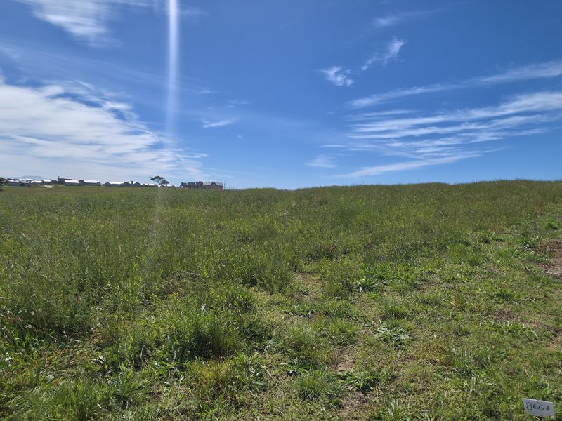 A vacant residential plot of land featuring natural grassland and direct access to a paved street.