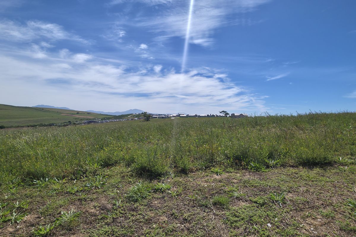 A wide-angle view of an expansive, undeveloped residential plot featuring natural grassland and distant mountain vistas.