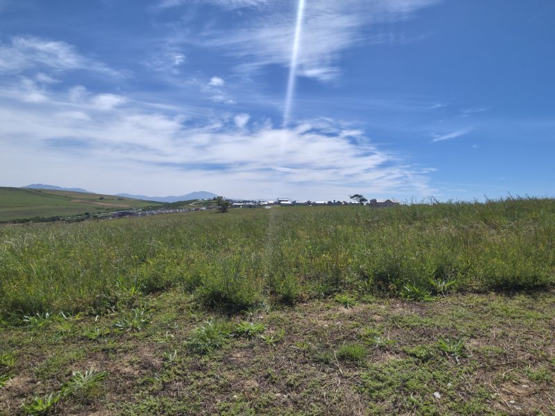 A wide-angle view of an expansive, undeveloped residential plot featuring natural grassland and distant mountain vistas.