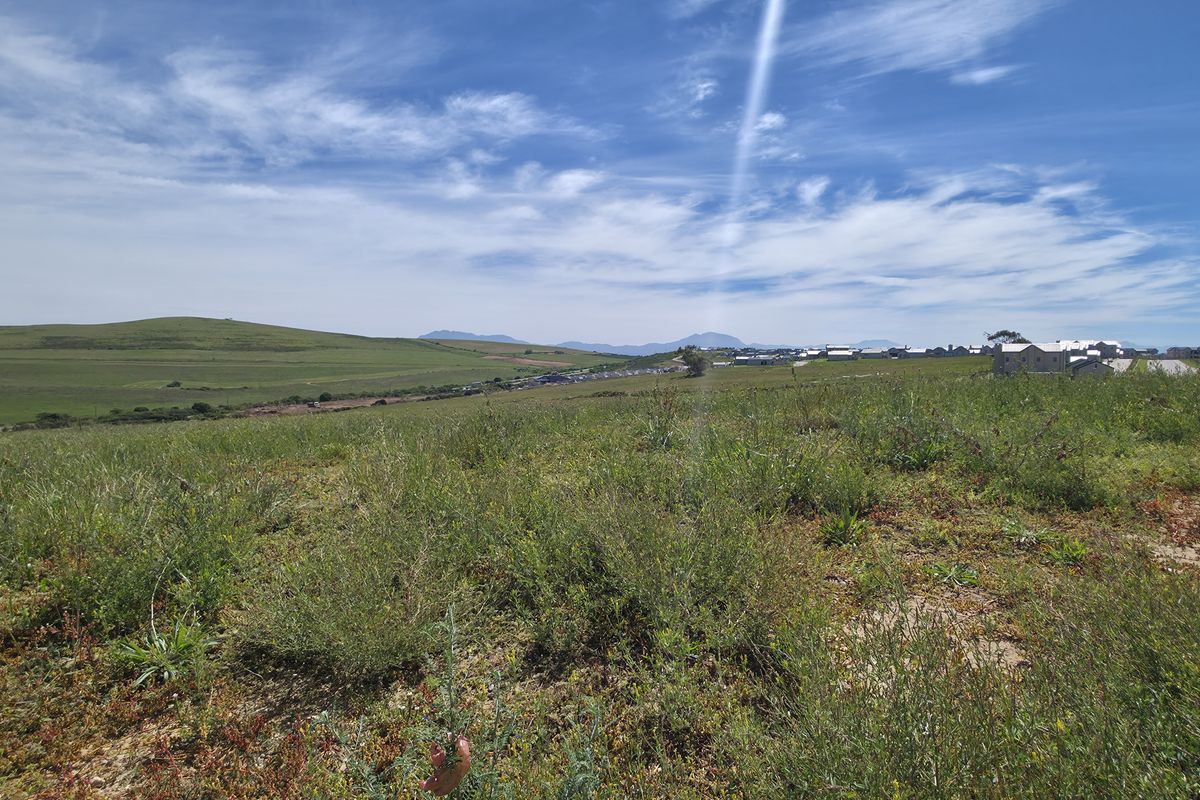 A wide-angle view of an undeveloped residential plot featuring natural vegetation and distant rolling hills under a clear blue sky.