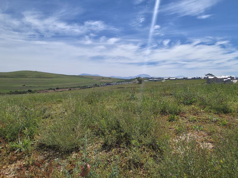 A wide-angle view of an undeveloped residential plot featuring natural vegetation and distant rolling hills under a clear blue sky.