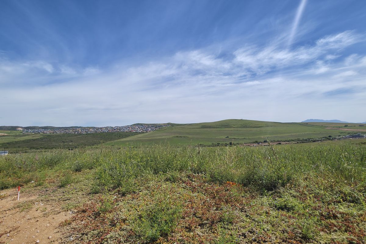 A wide-angle view of an expansive, undeveloped residential plot featuring natural vegetation and rolling hills in the distance.