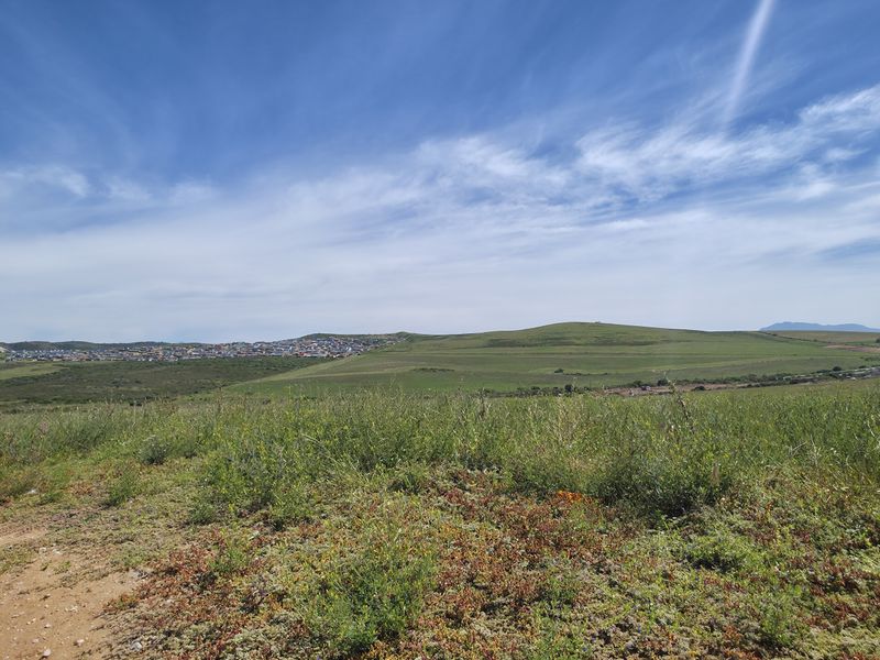 A wide-angle view of an expansive, undeveloped residential plot featuring natural vegetation and rolling hills in the distance.