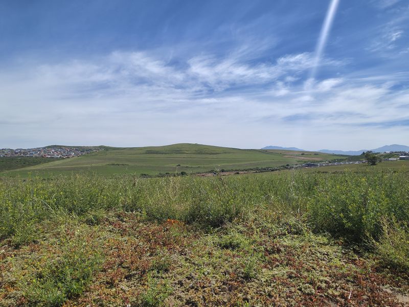 A panoramic view of the vacant residential land, showcasing the natural landscape and surrounding neighborhood terrain.