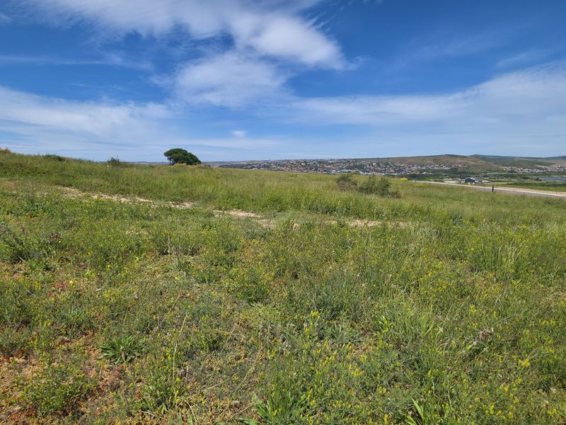 A wide-angle view of a vacant residential plot featuring natural vegetation and a gentle slope with distant landscape views.