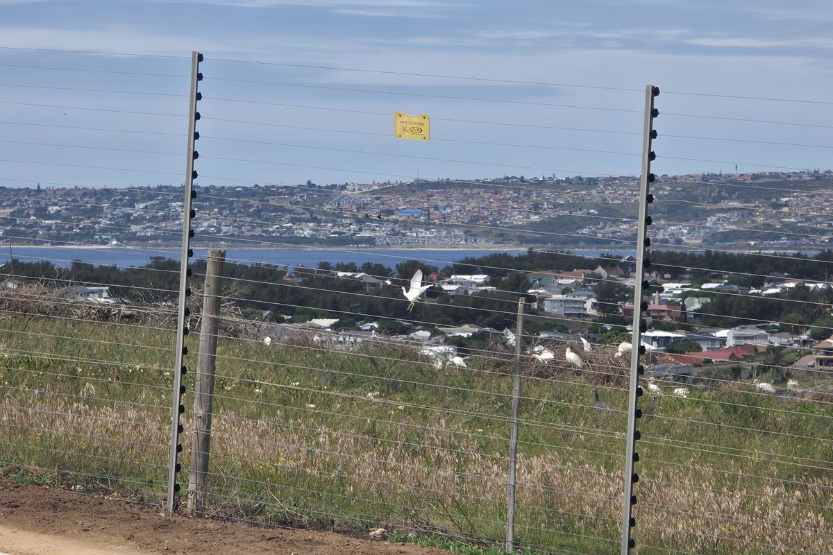 A view of the surrounding coastal landscape and residential area, secured by perimeter electric and wire mesh fencing.