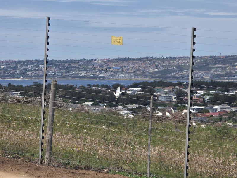 A view of the surrounding coastal landscape and residential area, secured by perimeter electric and wire mesh fencing.