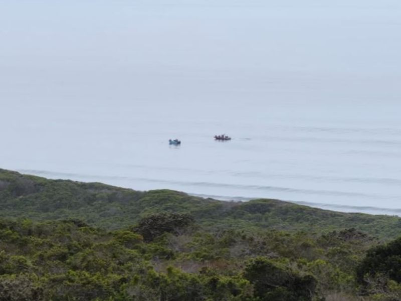 A scenic elevated view of the coastline featuring natural vegetation and ocean frontage.
