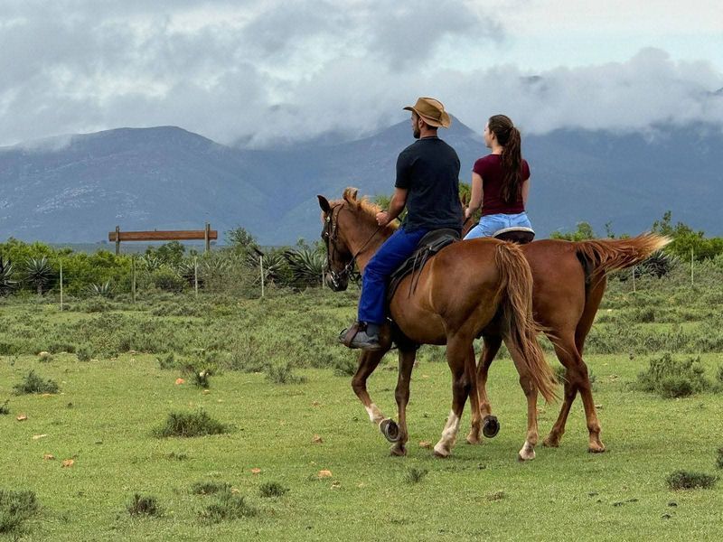 Dual Title Gourits River Farm – Scenic Riverside Living with Farming Potential - Photo 8