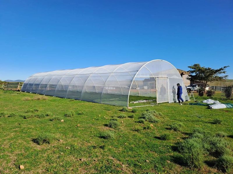 Dual Title Gourits River Farm – Scenic Riverside Living with Farming Potential - Photo 6