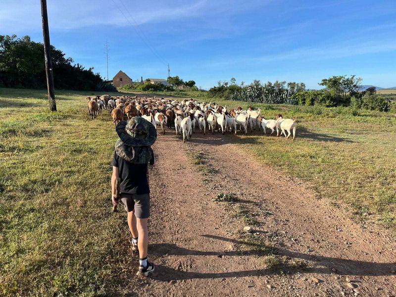 Dual Title Gourits River Farm – Scenic Riverside Living with Farming Potential - Photo 5