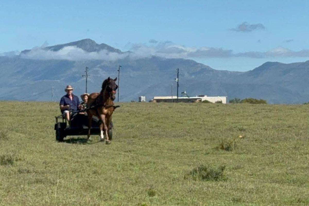 Dual Title Gourits River Farm – Scenic Riverside Living with Farming Potential - Photo 4