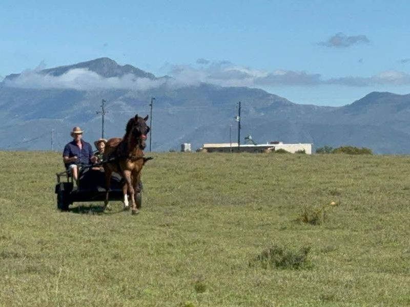 Dual Title Gourits River Farm – Scenic Riverside Living with Farming Potential - Photo 4