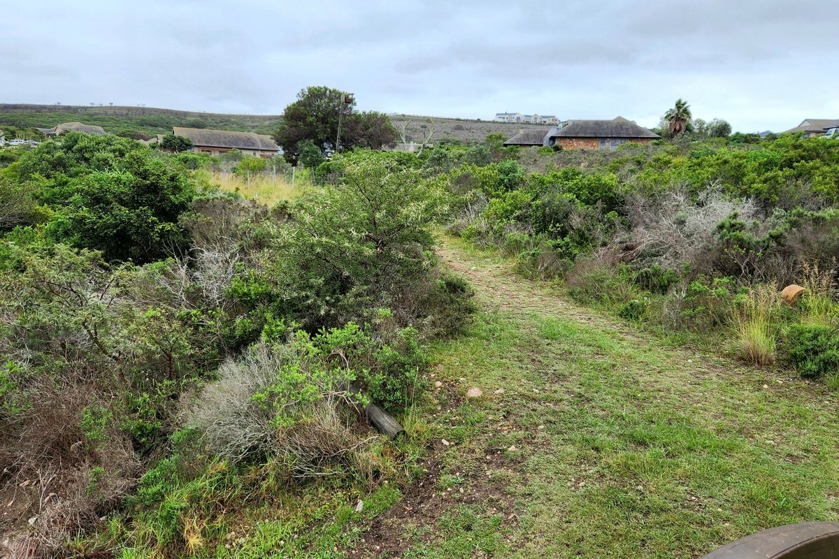 A view of a vacant residential plot featuring natural coastal vegetation and a cleared pathway, surrounded by established residential properties.