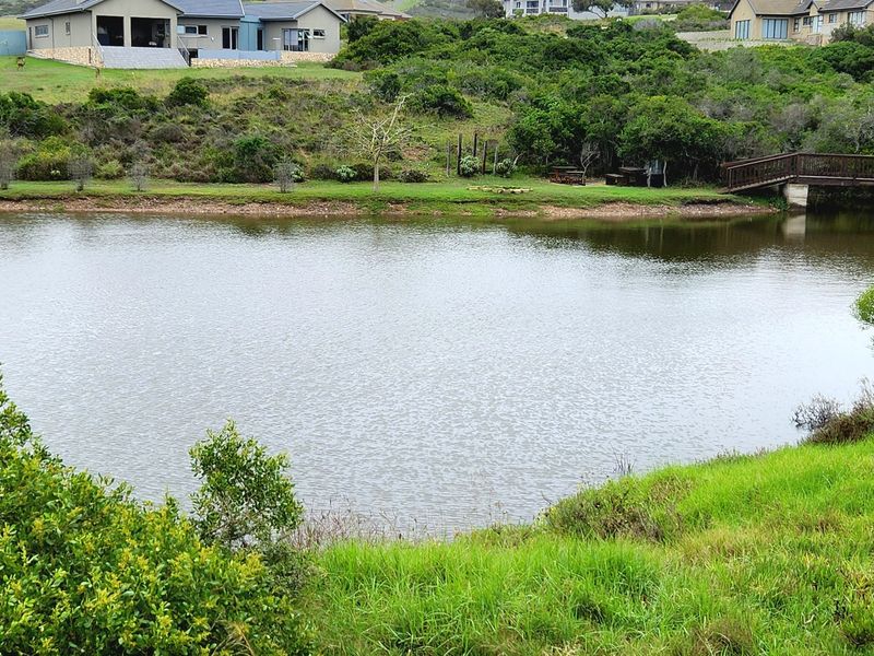 Your Private Wildlife Sanctuary stand - Photo 8