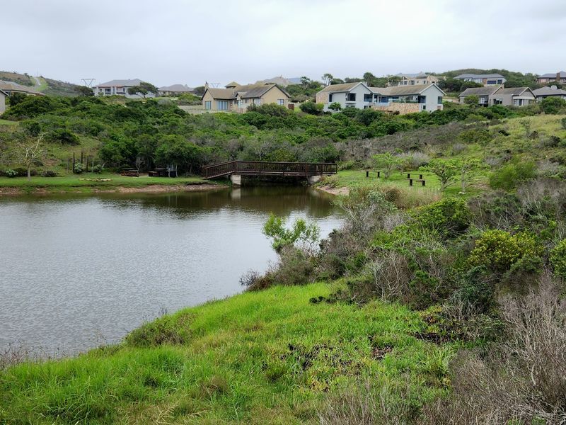 Your Private Wildlife Sanctuary stand - Photo 7