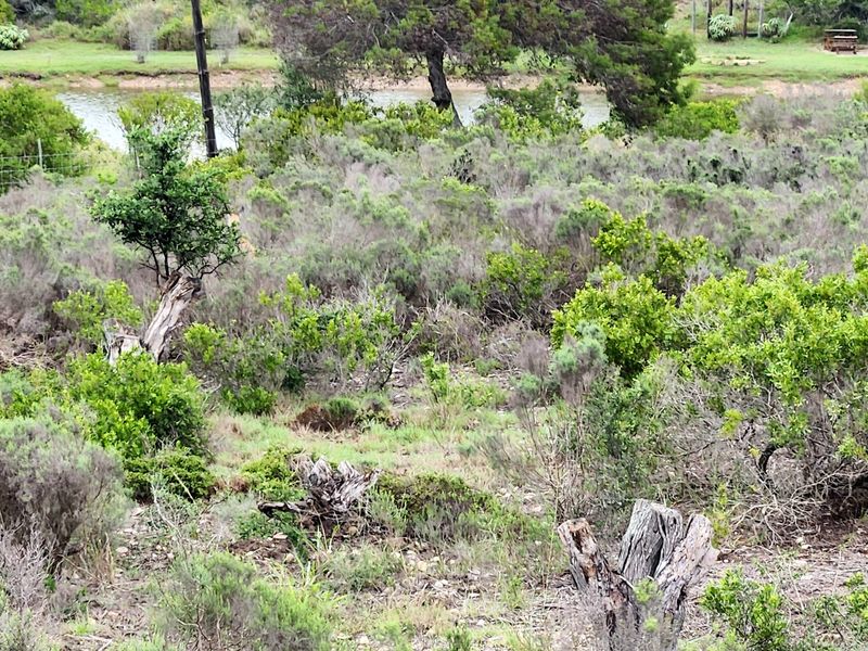 Your Private Wildlife Sanctuary stand - Photo 6