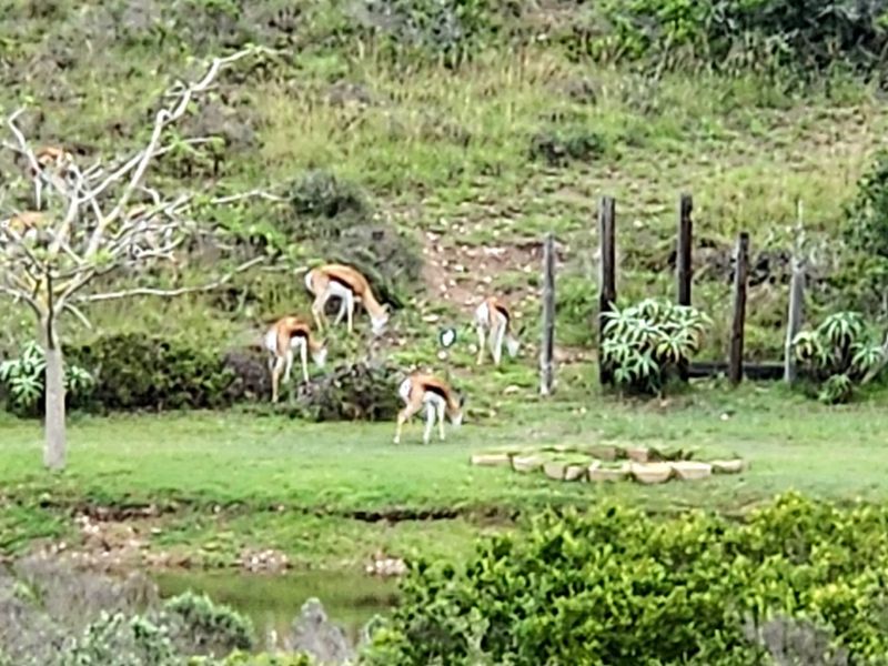 Your Private Wildlife Sanctuary stand - Photo 2