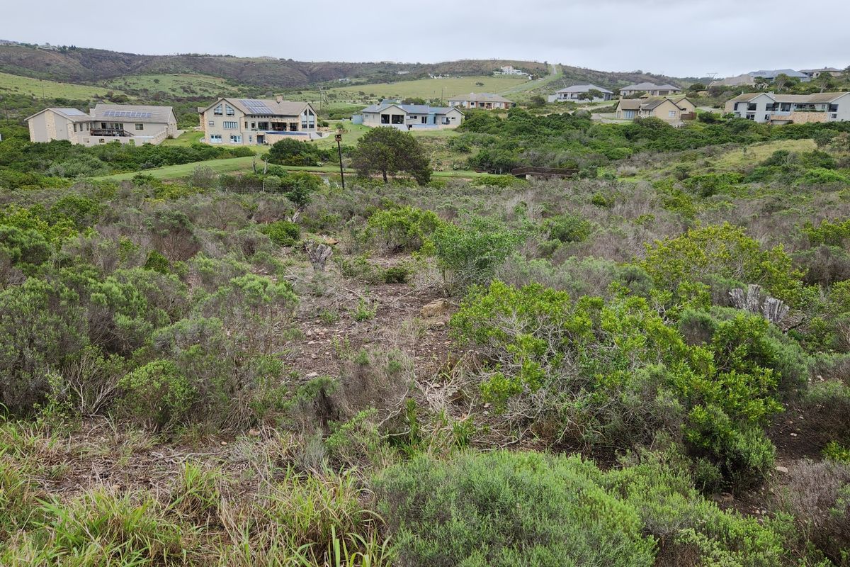 Your Private Wildlife Sanctuary stand - Photo 3