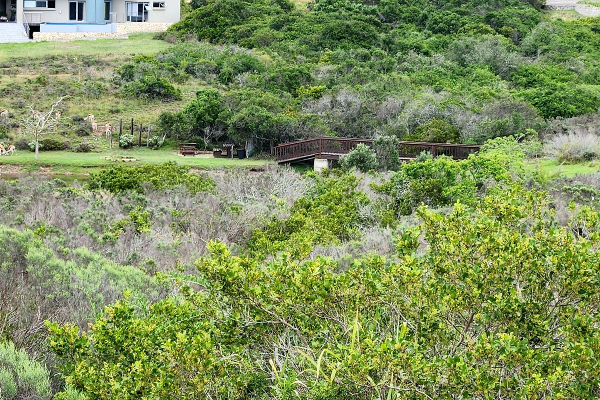 Your Private Wildlife Sanctuary stand - Photo 4