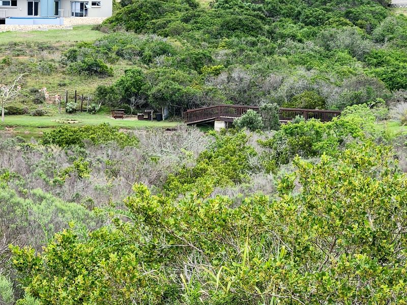 Your Private Wildlife Sanctuary stand - Photo 4