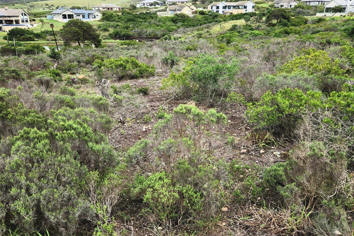 Your Private Wildlife Sanctuary stand - Photo 5