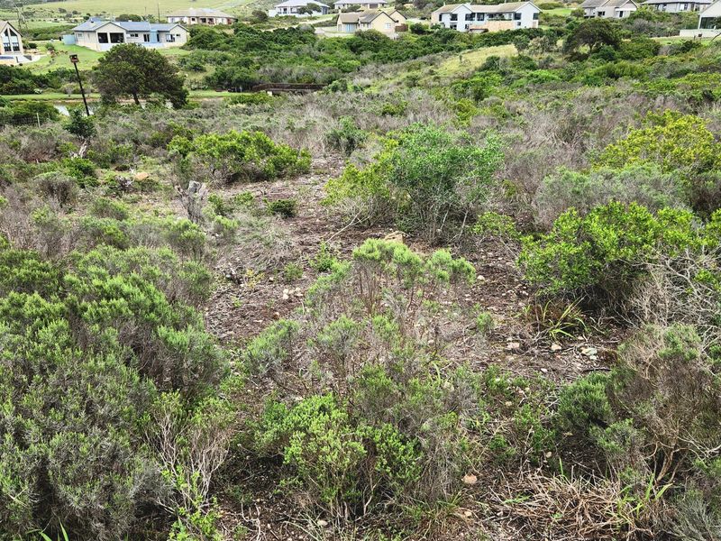 Your Private Wildlife Sanctuary stand - Photo 5