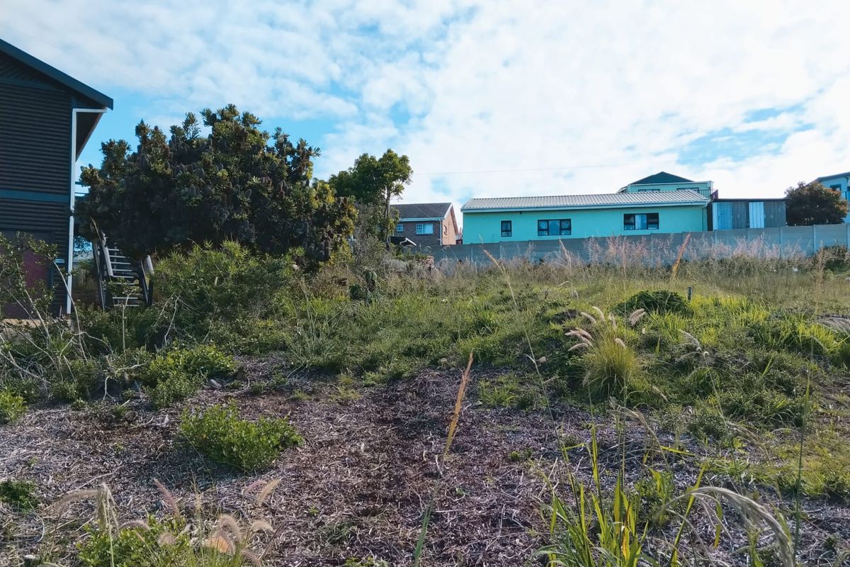 Secluded Plot in Dana Bay - Photo 5