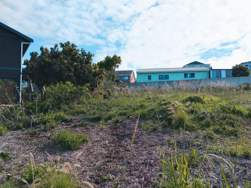 Secluded Plot in Dana Bay - Photo 5