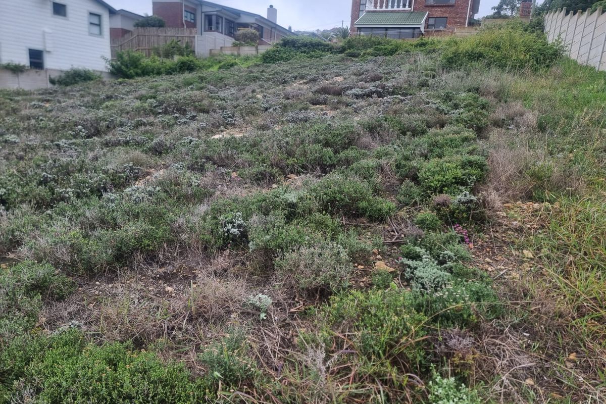 Prime Elevated Erf For Sale- Dana Bay, Mossel Bay - Photo 3