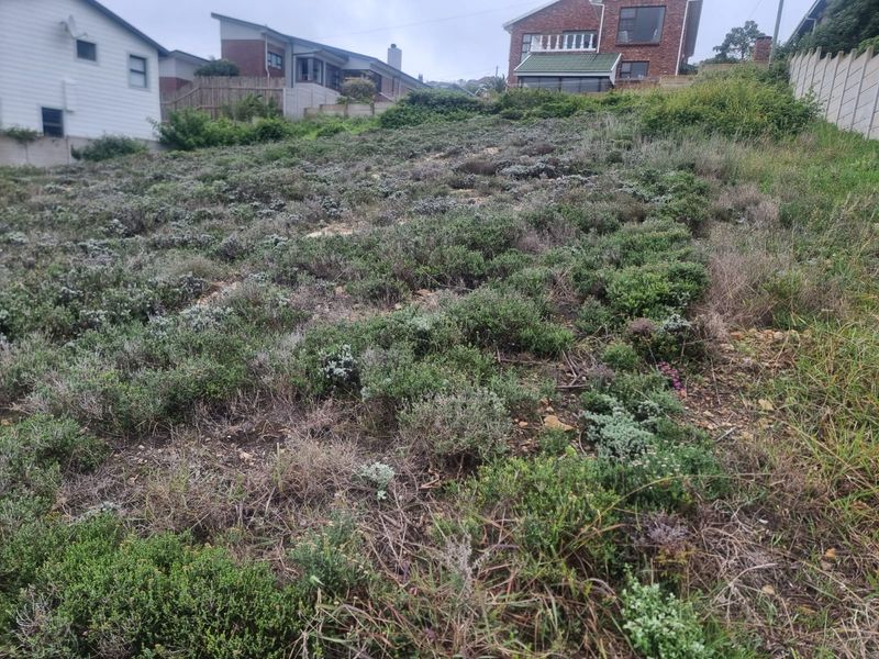 Prime Elevated Erf For Sale- Dana Bay, Mossel Bay - Photo 3