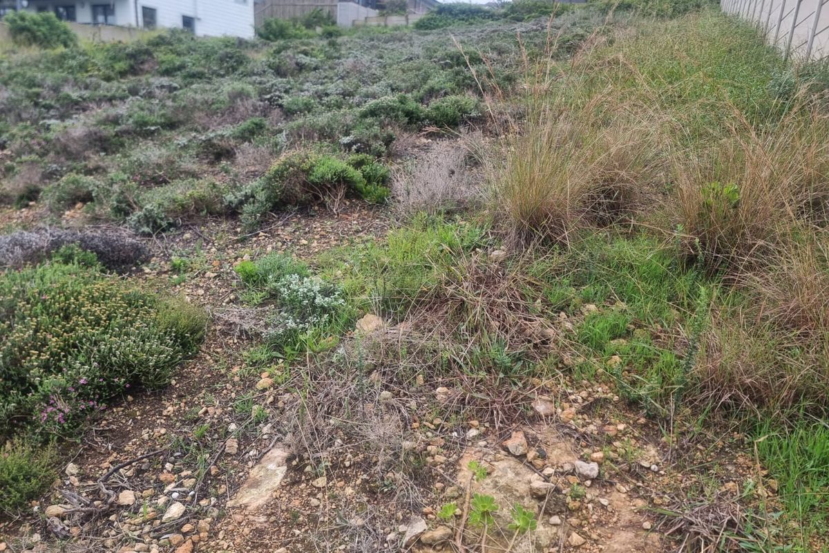 Prime Elevated Erf For Sale- Dana Bay, Mossel Bay - Photo 4